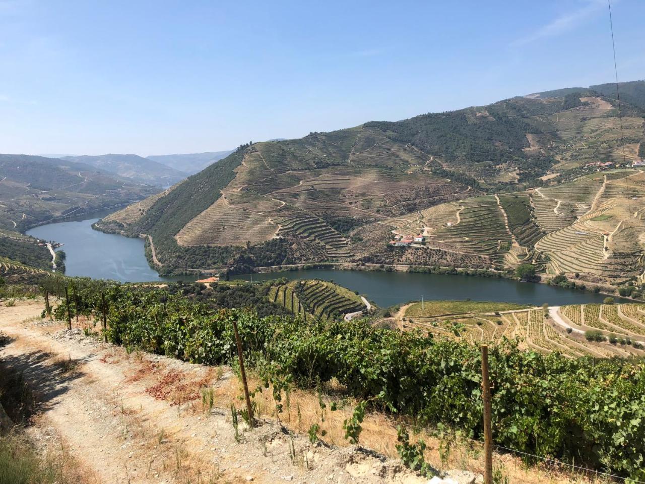 Quinta Da Casa Cimeira, Guest House, Wines & Food Valença do Douro Exterior foto