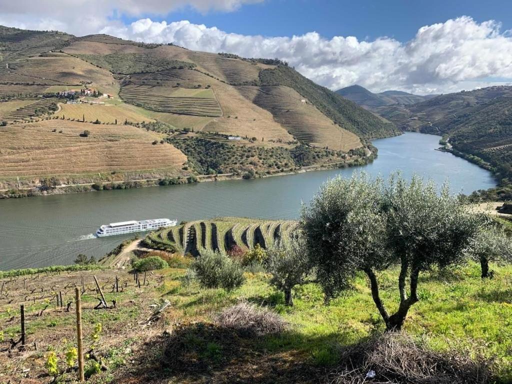 Quinta Da Casa Cimeira, Guest House, Wines & Food Valença do Douro Exterior foto
